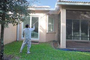 Can I Use Soap with My Pressure Washer On a Treated Or Painted Surface?